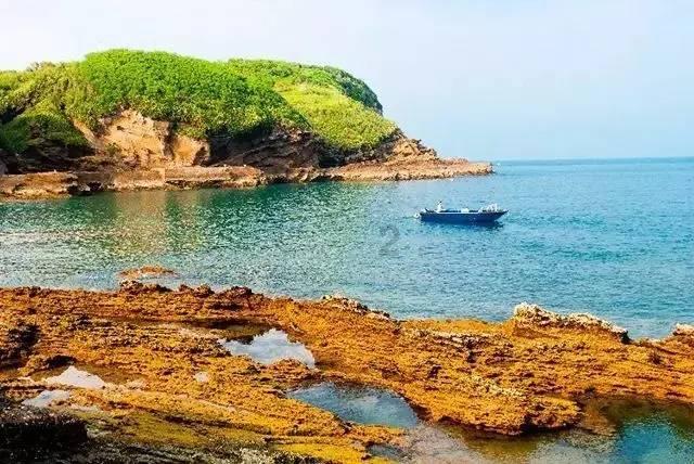 小鸡要回家