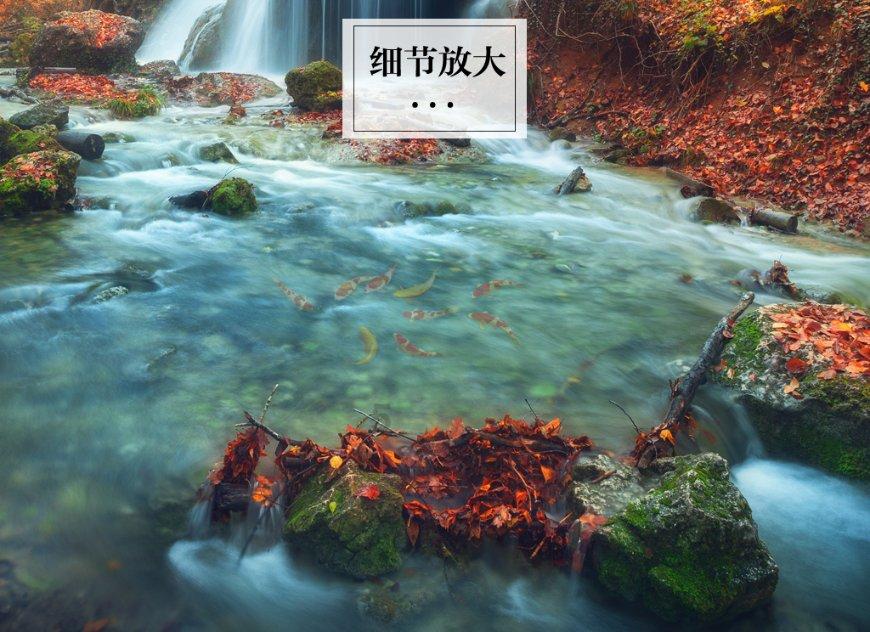 新的一年，新的心意，白大师新品茶礼·一亩一泡新年敬献